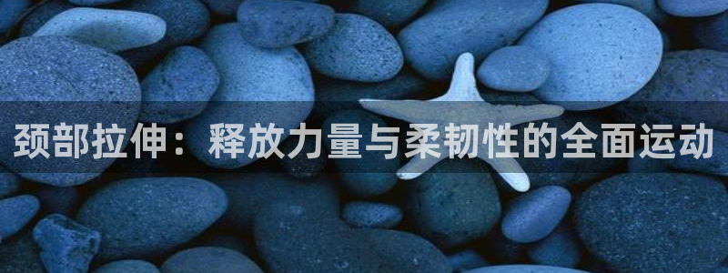 风速体育app官方下载：颈部拉伸：释放力量与柔韧性的全面运动
