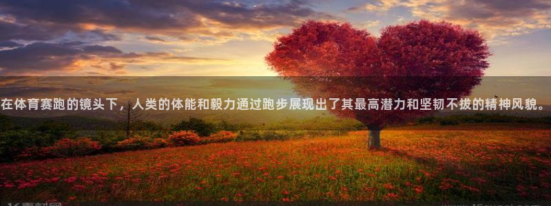 风速体育nba直播：在体育赛跑的镜头下，人类的体能和毅力通过跑步展现出了其最高潜力和坚韧不拔的精神风貌。