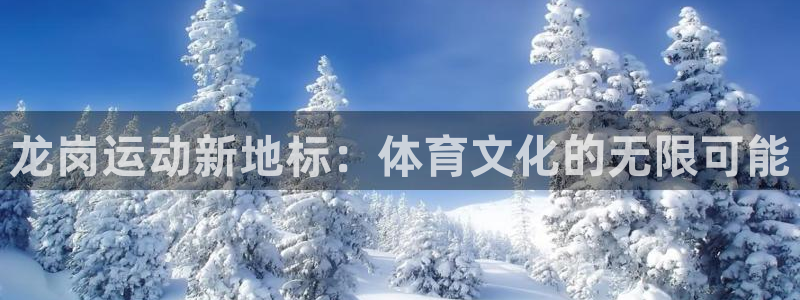 风速体育直播：龙岗运动新地标：体育文化的无限可能