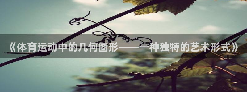 风速体育cba直播：《体育运动中的几何图形——一种独特的艺术形式》