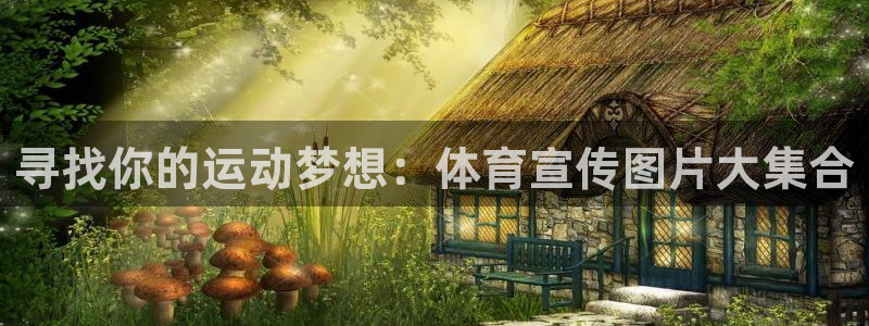 风速体育直播app：寻找你的运动梦想：体育宣传图片大集合