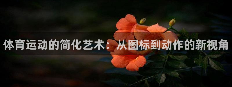 风速体育：体育运动的简化艺术：从图标到动作的新视角