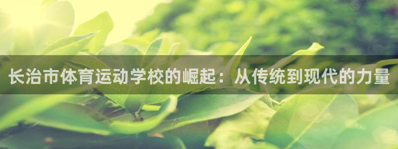 下载风速体育：长治市体育运动学校的崛起：从传统到现代的力量