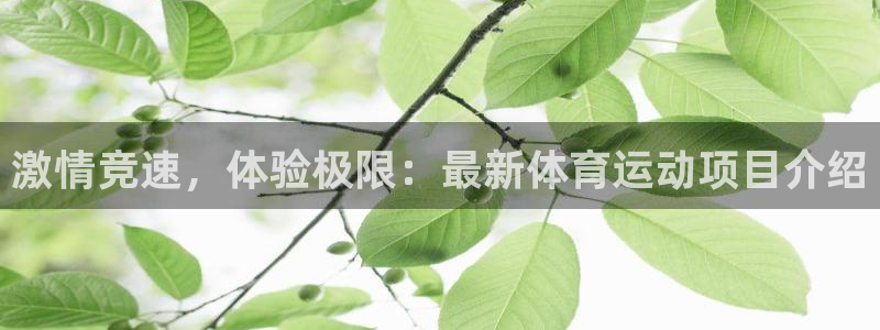 风速体育官网：激情竞速，体验极限：最新体育运动项目介绍