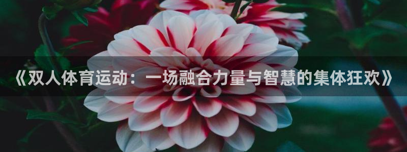 风速体育官网：《双人体育运动：一场融合力量与智慧的集体狂欢》