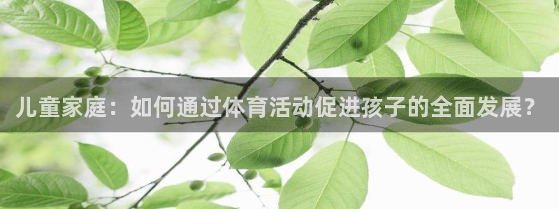 风速体育：儿童家庭：如何通过体育活动促进孩子的全面发展？