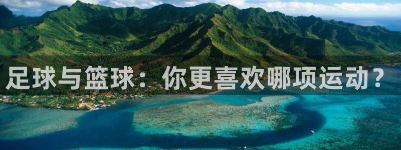 风速体育app下载官网最新版：足球与篮球：你更喜欢哪项运动？
