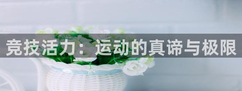 风速体育
