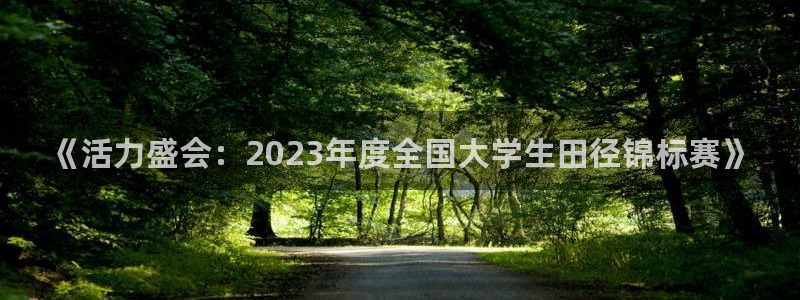 风速体育app下载官网最新版