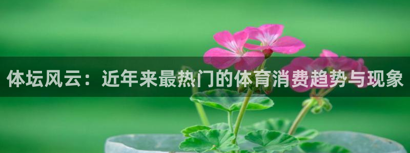 风速体育app下载安装最新版本：体坛风云：近年来最热门的体育消费趋势与现象